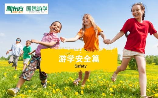 海外游学英语视频教学——游学安全篇 商品图0