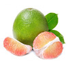 翡翠柚（泰国） 商品缩略图0