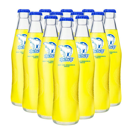 北冰洋桔汁汽水玻璃瓶248ml（A） 商品图5