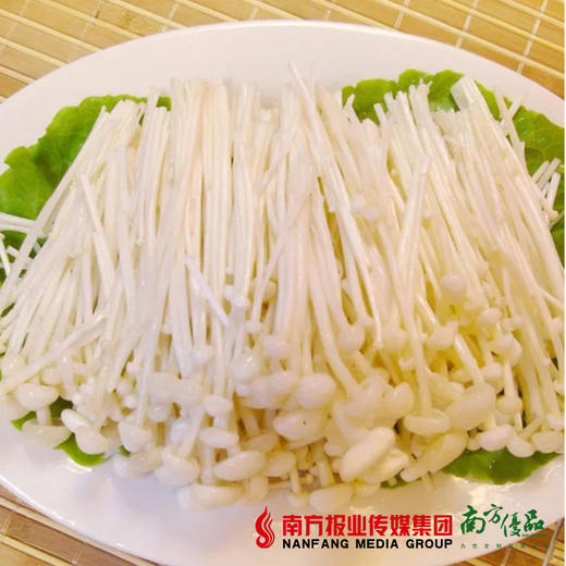 【30号提货】新鲜金针菇  0.2kg/包 商品图1