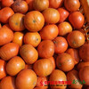 【29号提货】潮州茂谷柑 商品缩略图2