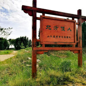 北方佳人小故事（三）修剪掉的鲜叶