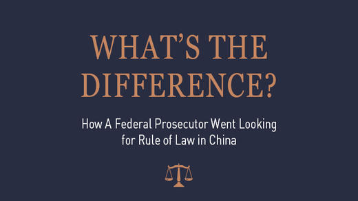 How Chinese Changed My Life? 商品图0