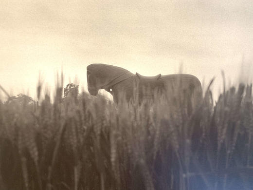 中国照片《故山行旅》李止作品 商品图1