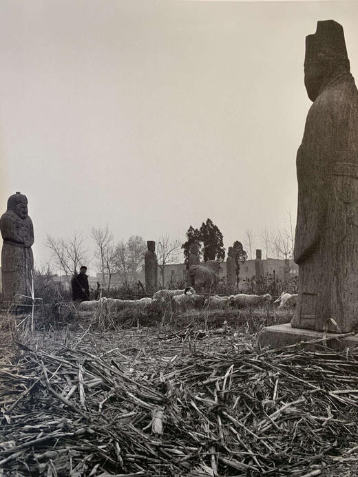 中国照片《皇陵百姓》闫新法 商品图1