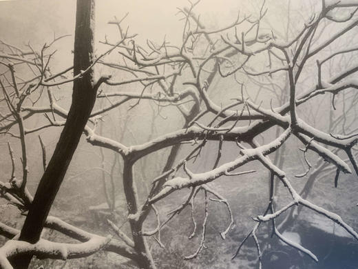 中国照片《故山行旅》李止作品 商品图6