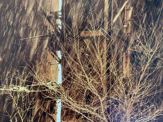 中国照片《工业时代》王玉文作品 商品图4