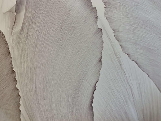 中国照片《国色花语》王昆峰作品 商品图4