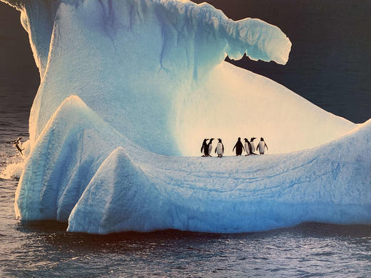 中国照片《心之极》王新妹作品 商品图6