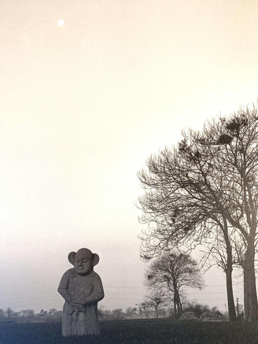 中国照片《皇陵百姓》闫新法 商品图4