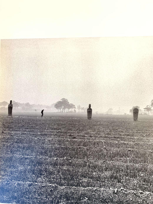 中国照片《皇陵百姓》闫新法 商品图6