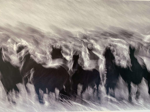 中国照片《马》李刚作品 商品图6