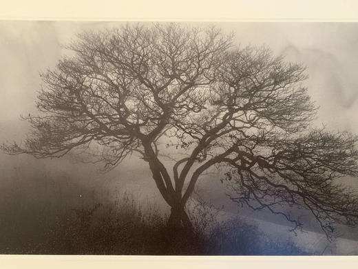 中国照片《故山行旅》李止作品 商品图5