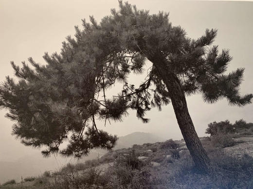 中国照片《故山行旅》李止作品 商品图2