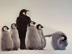 中国照片《心之极》王新妹作品