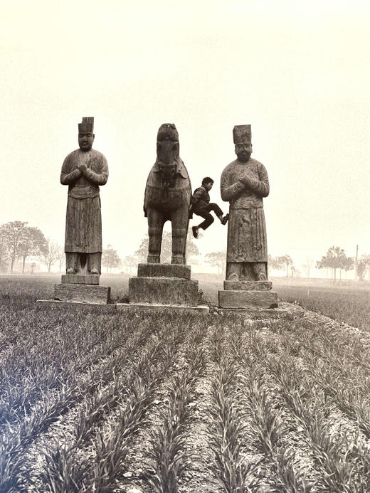 中国照片《皇陵百姓》闫新法 商品图7