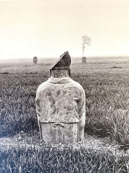 中国照片《皇陵百姓》闫新法 商品图3