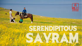 On the Road | 在路上