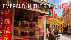 Diaspora | 四海一家