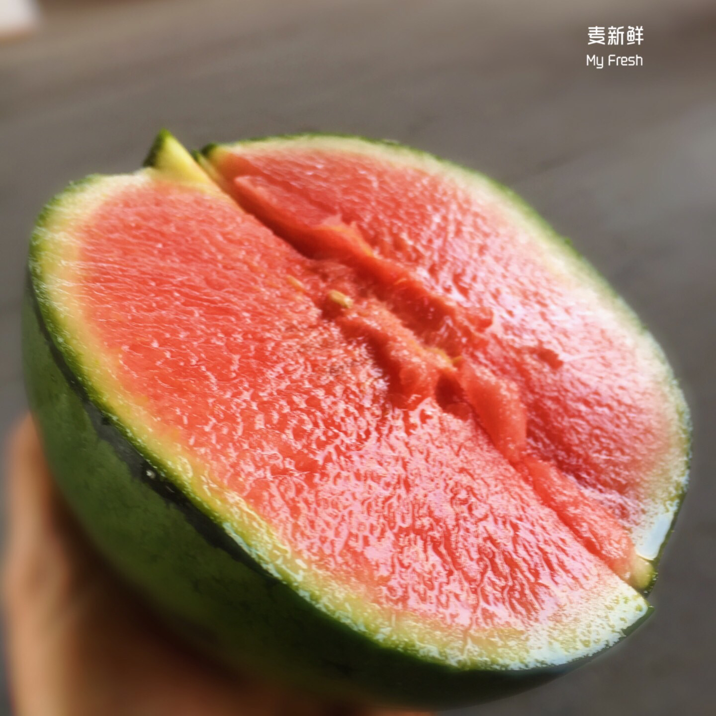 【圣童小吊瓜】