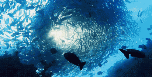 而你却常被宝贝的"十万个为什么" 你得学会让更专业,更会讲故事,更能