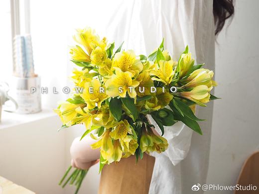 六初花-Gold黄金 商品图1