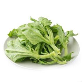 新鲜冰草上市|一斤10元