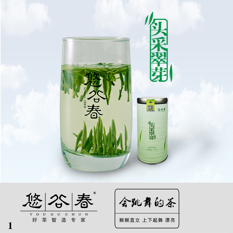 头采翠芽试喝样品