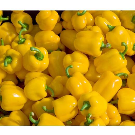 【暂时无货】黄彩椒 500g/16元 商品图2
