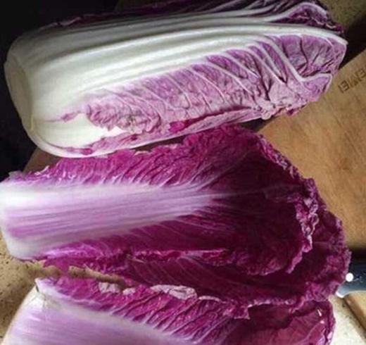 紫白菜  12元/斤   商品图2