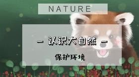 孩子的第一堂自然课