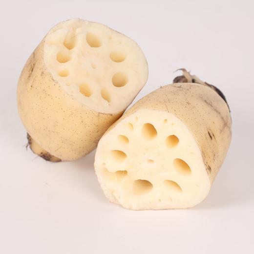 【暂时无货】水果藕 500g/11元 商品图0