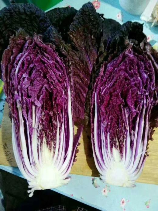 紫白菜  12元/斤   商品图1