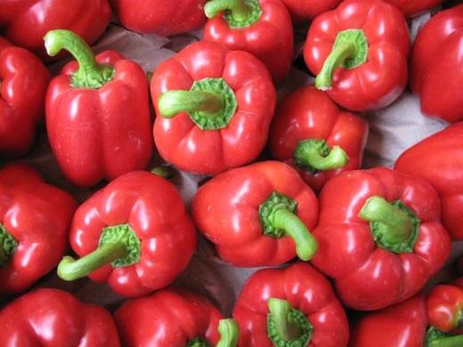 【暂时无货】红彩椒 500G/16元 商品图1