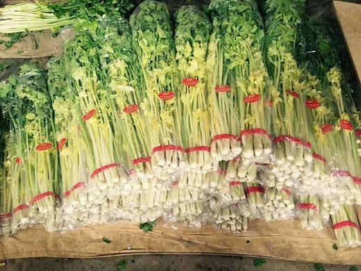 【暂时无货】野山芹 500g/8元 商品图1