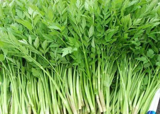 【暂时无货】野山芹 500g/8元 商品图0