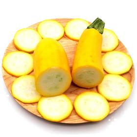 【暂时无货】黄节瓜7元/斤