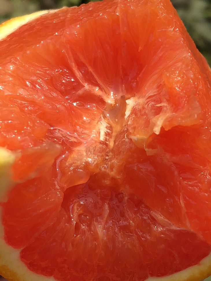 美国新奇士caracara血橙 大果 |纯真红色果肉,细嫩到入口即化,香甜水