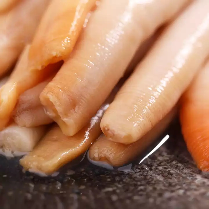 鲜活象拔蚌(水蚌) 象鼻蚌 海鲜水产