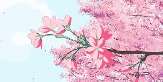 湿气重，头脸油腻，早上醒来还特别累，喝水都长胖？去湿小妙招学起来！ 商品图0