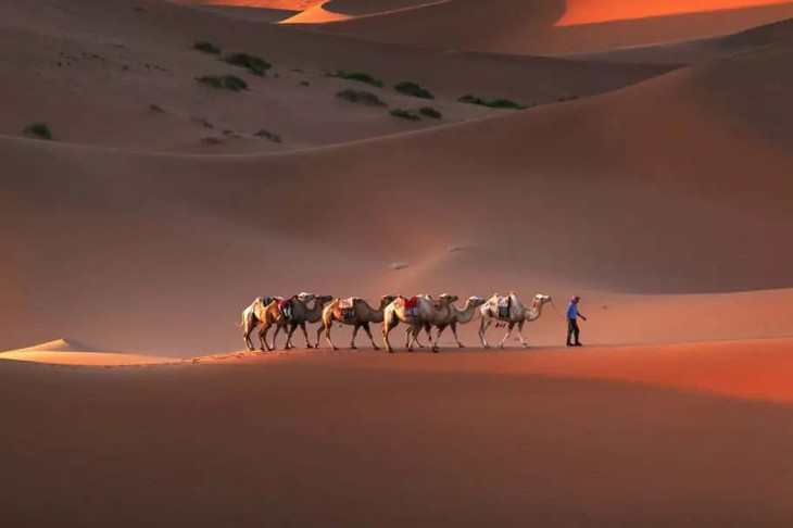 [巴丹吉林] 越野行摄,探索中国最美的沙漠