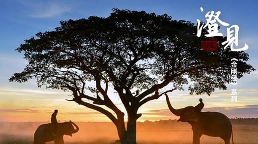 《金刚经》第十分01：关于净土的小秘密（上） 商品图0