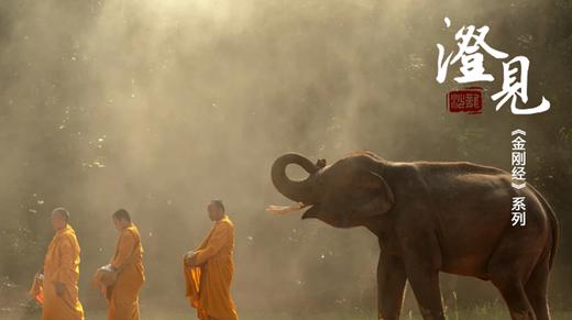 《金刚经》第十分02：关于净土的小秘密（下） 商品图0