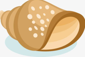 可爱的“洞里将军”