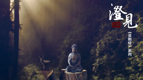 《金刚经》第一分07：还至本处的真高明