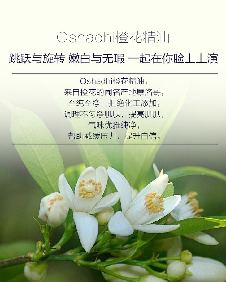 oshadhi德国o家橙花精油3ml