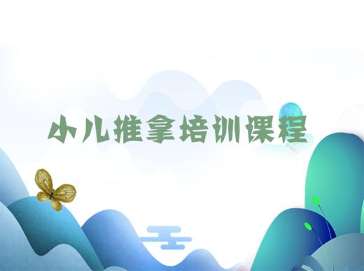 1-1 小儿推拿前景分析 商品图0