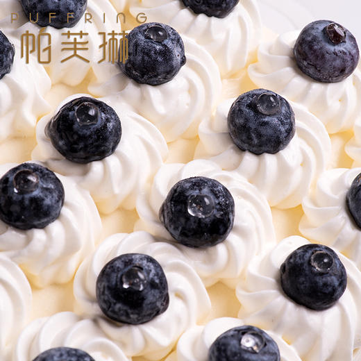 雪域蓝莓 商品图1