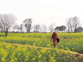 #绽放女孩#花海与美人