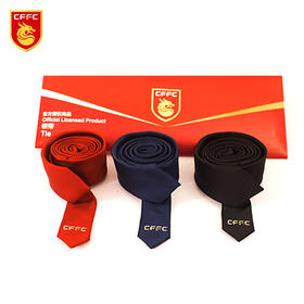 河北华夏幸福官方正品窄款领带